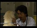 「プレマップ」での映像
